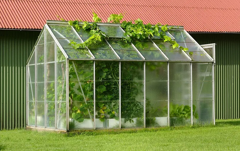 Ремонт теплицы после зимы: на что обратить внимание